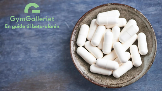 Beta-Alanine 101: En enkel guide