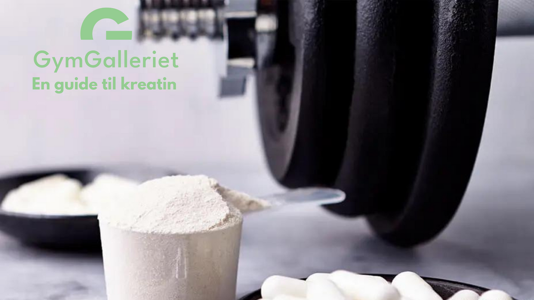 En guide til kreatin